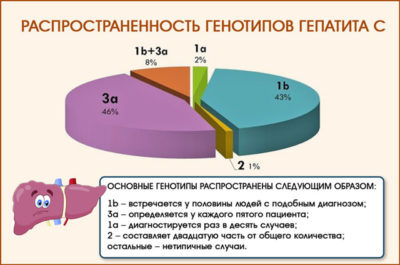 Лечение гепатита с генотипа третей сложности. 